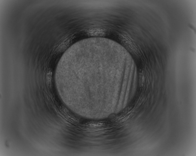 X0000097460263200803201433