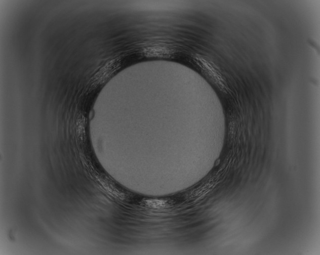 X0000097460265200803201433