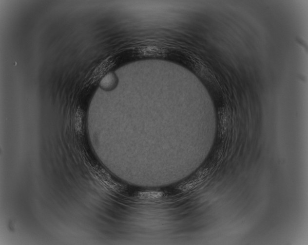 X0000097460266200803201433