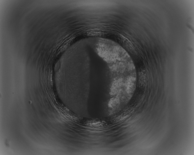 X0000097460267200803201433