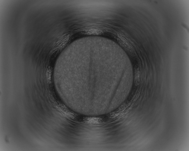 X0000097460268200803201433