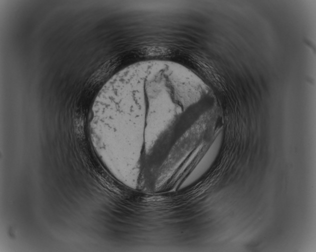 X0000097460269200803201433