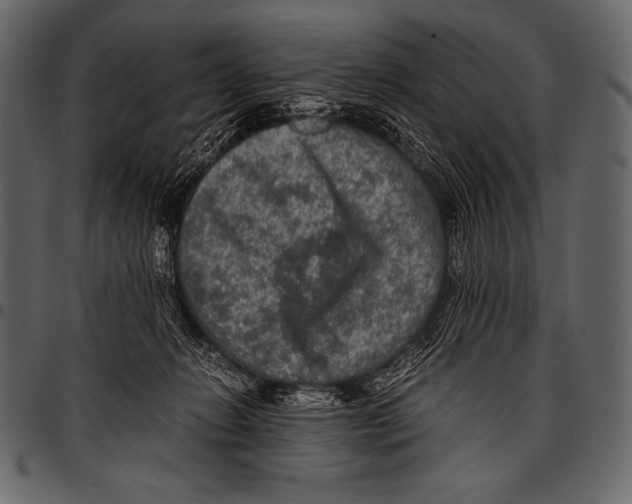 X0000097460270200803201433