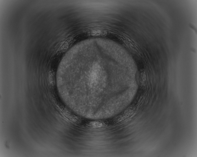 X0000097460272200803201433