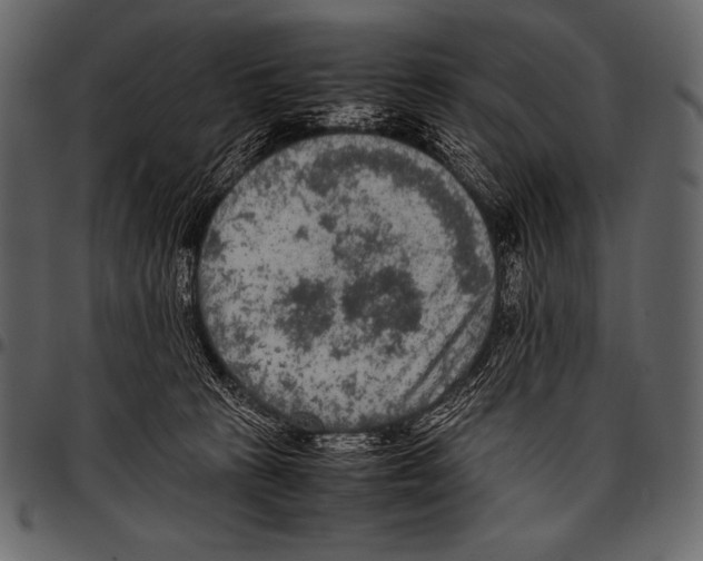 X0000097460273200803201433