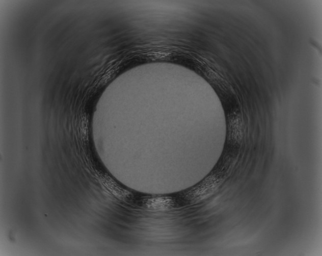 X0000097460274200803201433