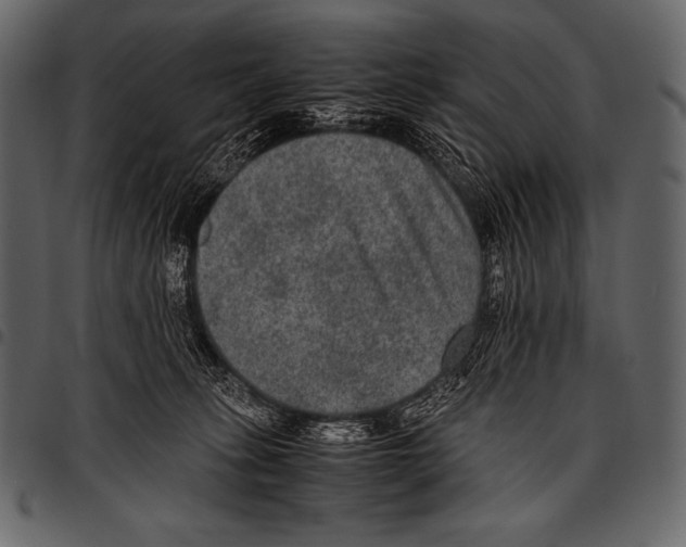 X0000097460275200803201433