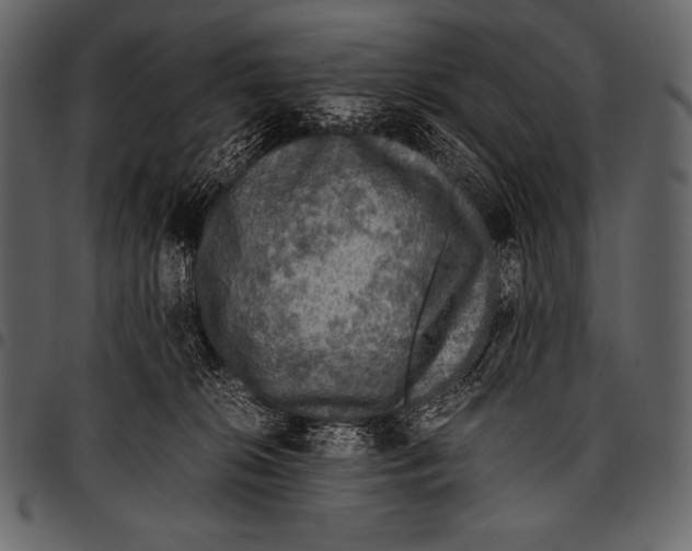 X0000097460276200803201433