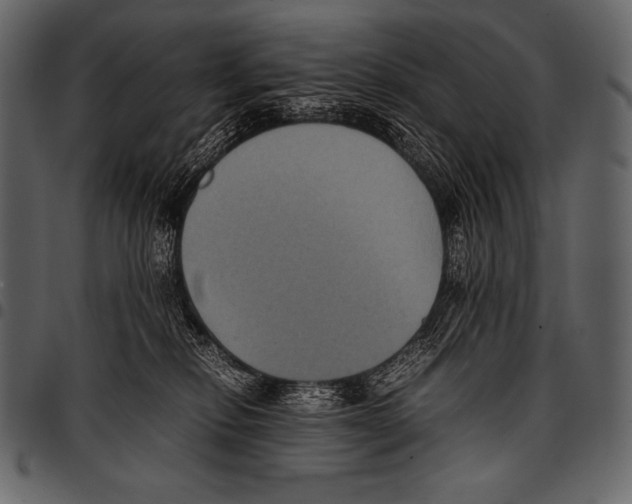 X0000097460278200803201433