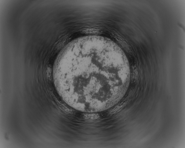 X0000097460281200803201433