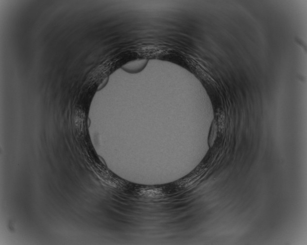 X0000097460283200803201433