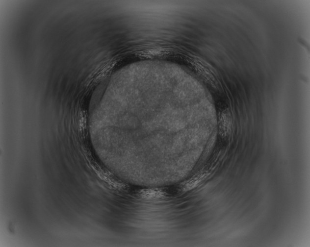 X0000097460284200803201433