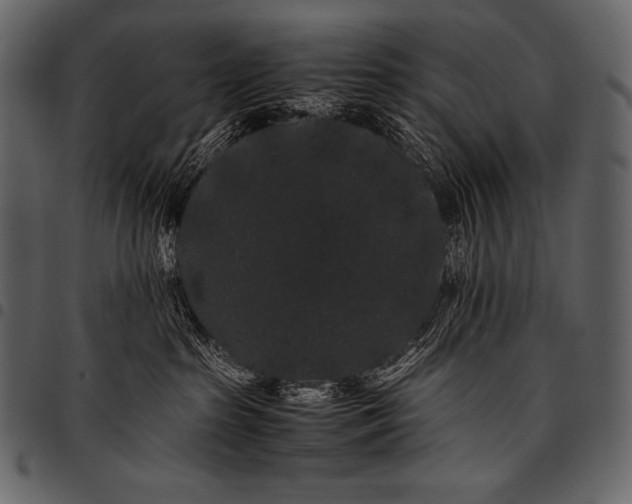 X0000097460285200803201433