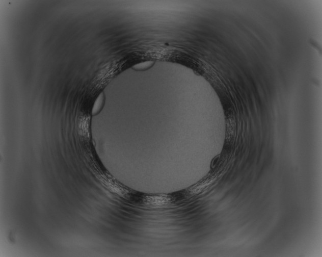 X0000097460286200803201433