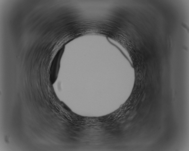 X0000097460289200803201432