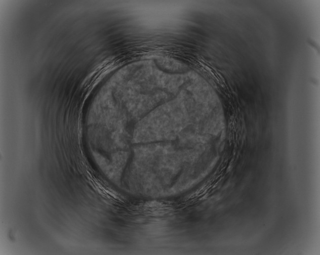 X0000097460290200803201432