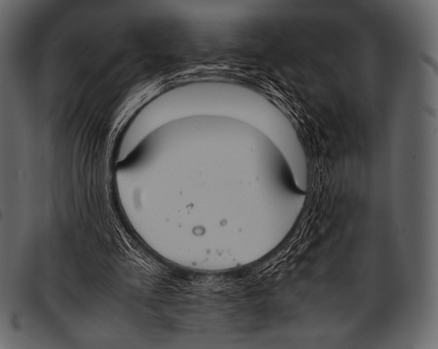 X0000097460293200803201432