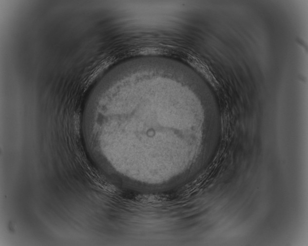 X0000097460297200803201432