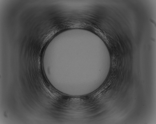 X0000097460298200803201432