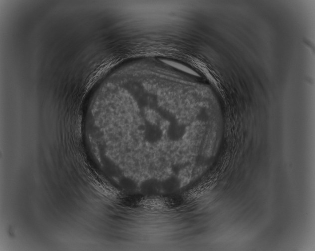 X0000097460299200803201432