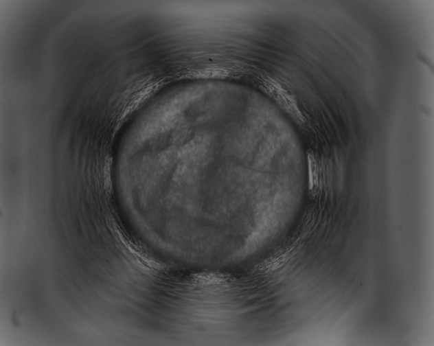 X0000097460300200803201432