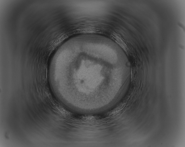 X0000097460301200803201432