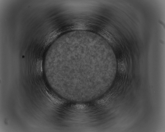 X0000097460302200803201432