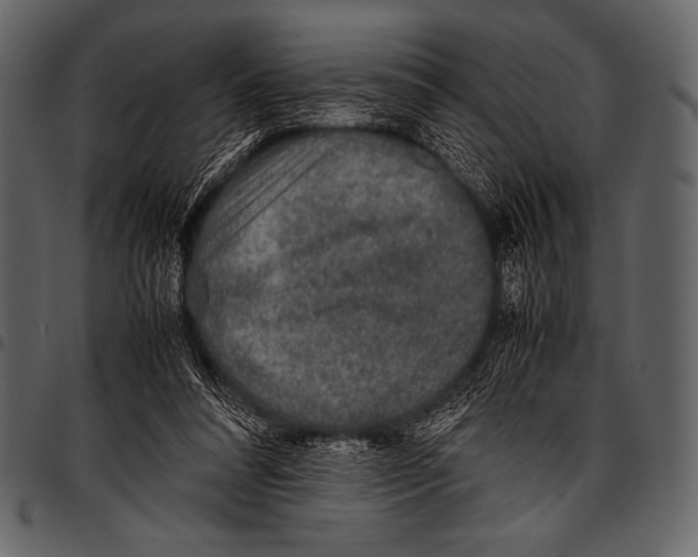 X0000097460304200803201432