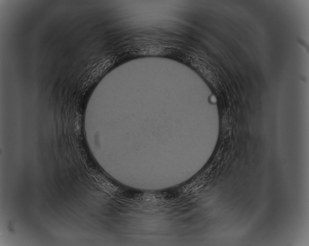 X0000097460305200803201432