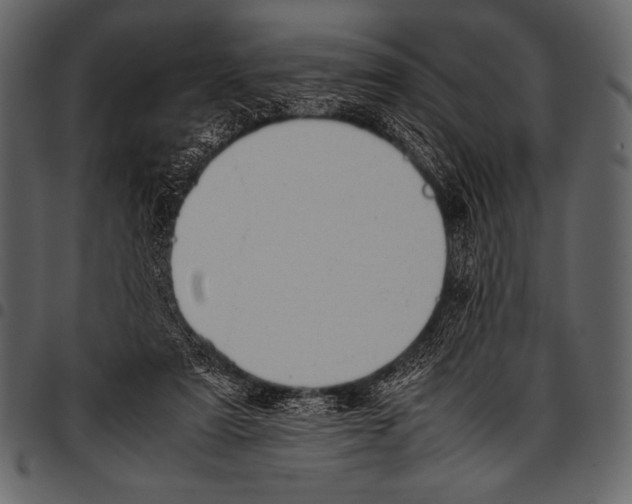 X0000097460307200803201432