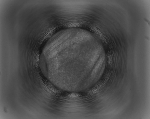 X0000097460308200803201432