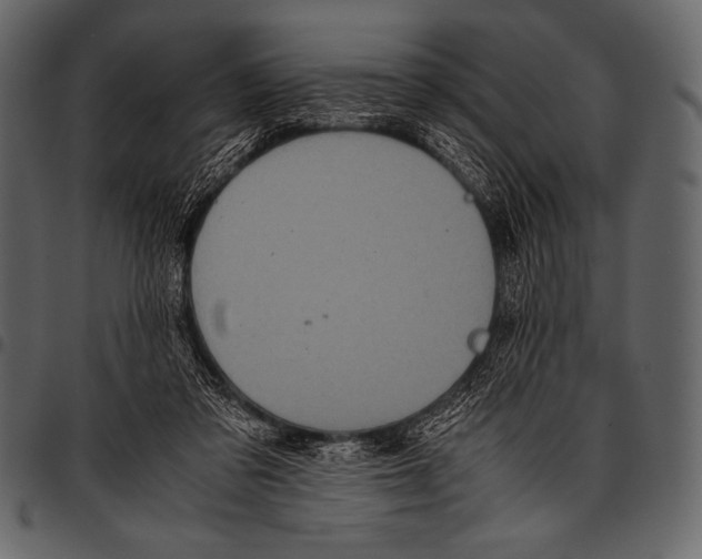 X0000097460309200803201432