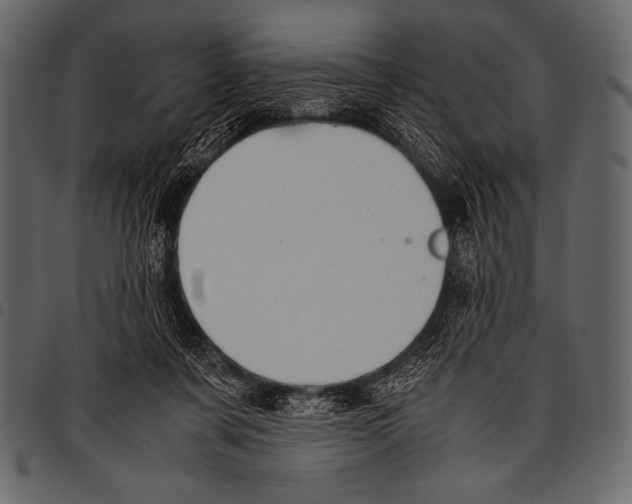 X0000097460311200803201432