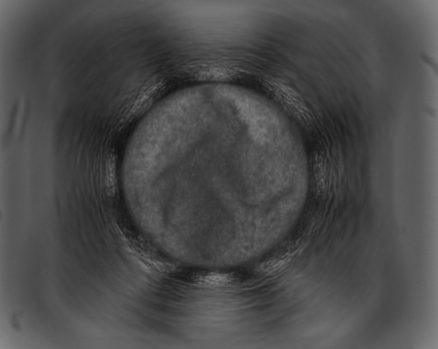 X0000097460312200803201432