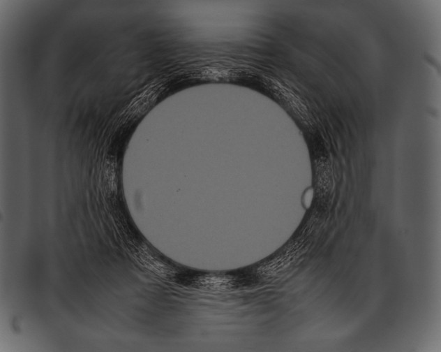 X0000097460313200803201432