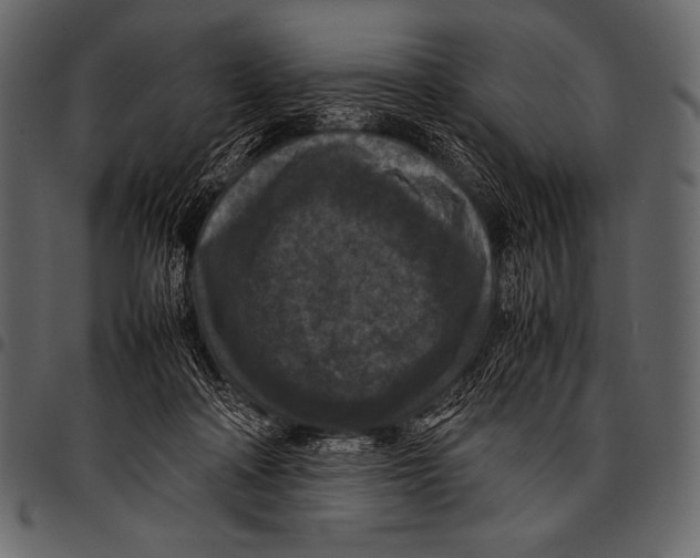 X0000097460314200803201432