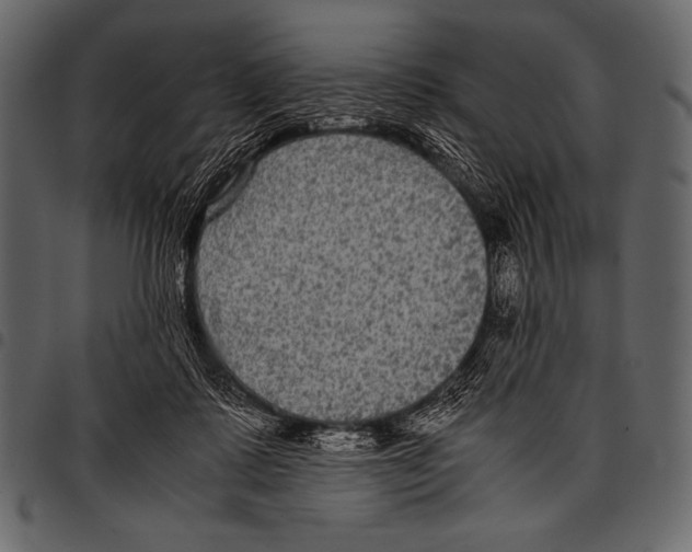 X0000097460315200803201432