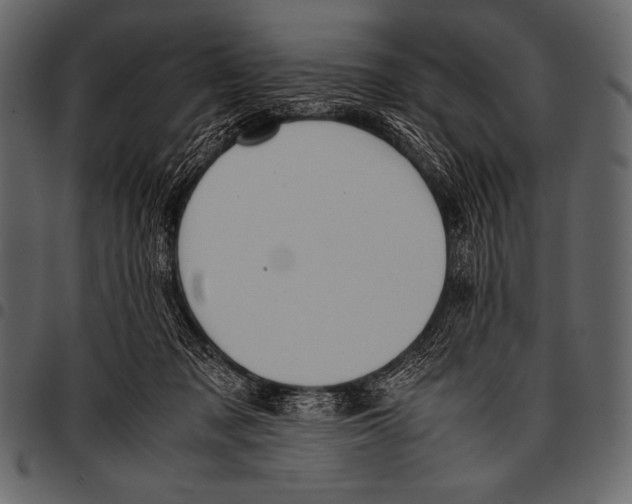 X0000097460317200803201432