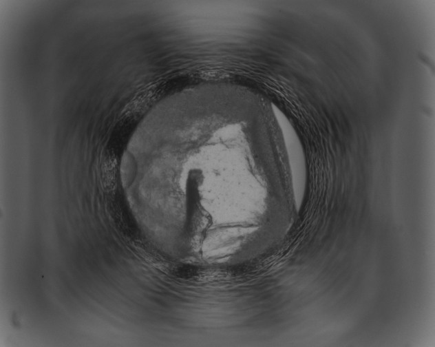 X0000097460319200803201432