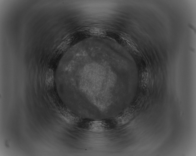 X0000097460320200803201432