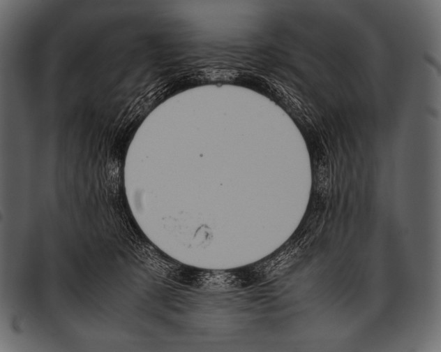 X0000097460321200803201432