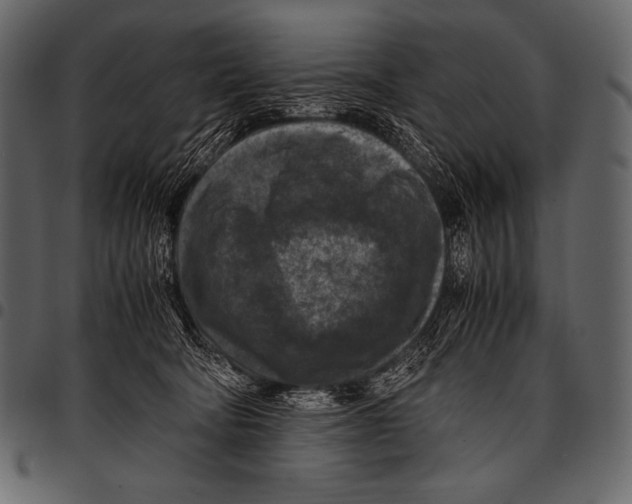 X0000097460322200803201432