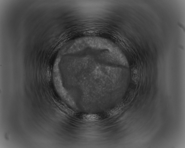 X0000097460324200803201431