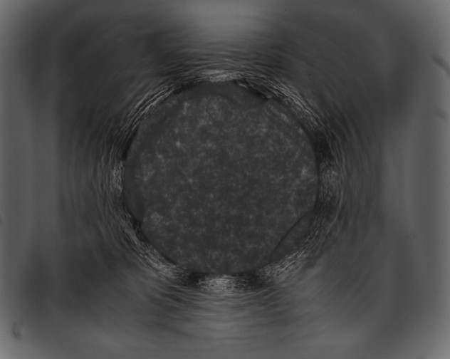 X0000097460325200803201431