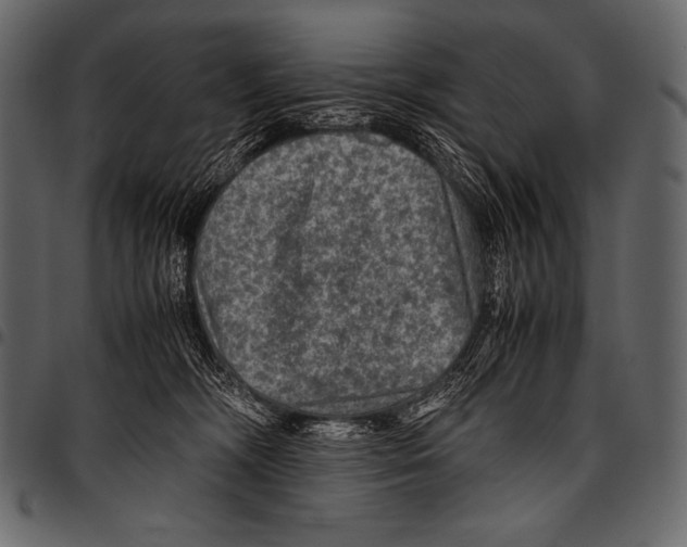 X0000097460326200803201431