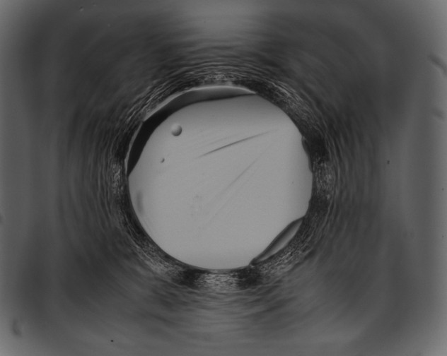 X0000097460327200803201431