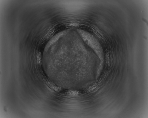 X0000097460328200803201431