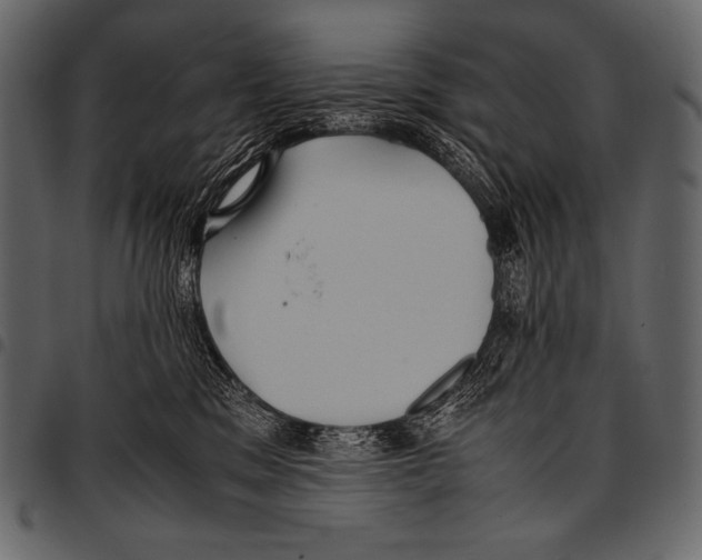 X0000097460329200803201431