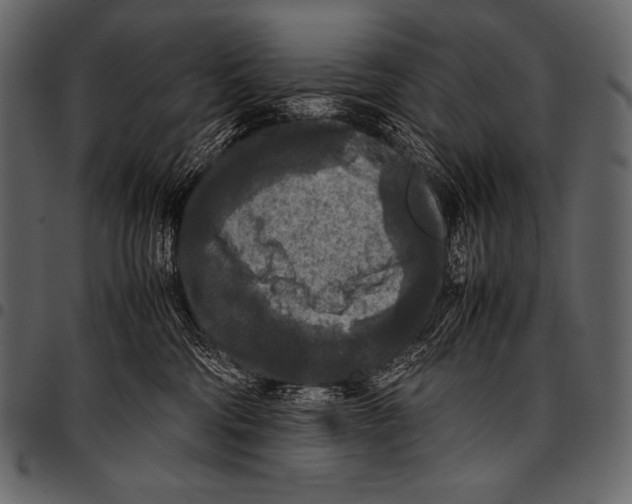 X0000097460330200803201431