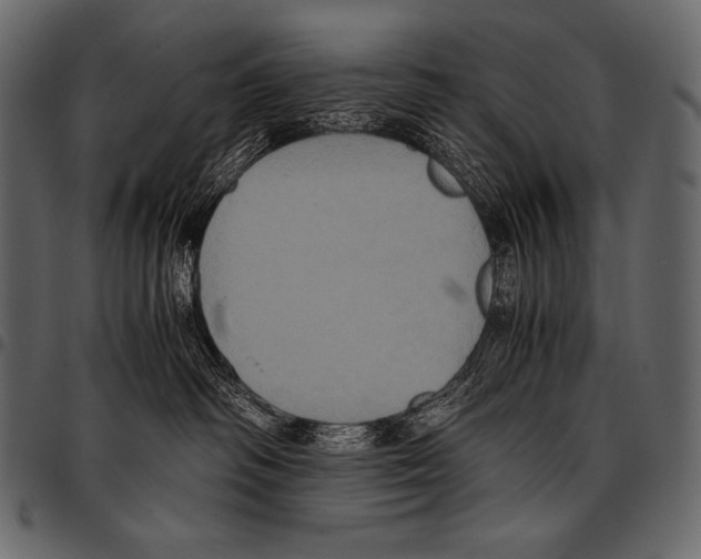 X0000097460334200803201431